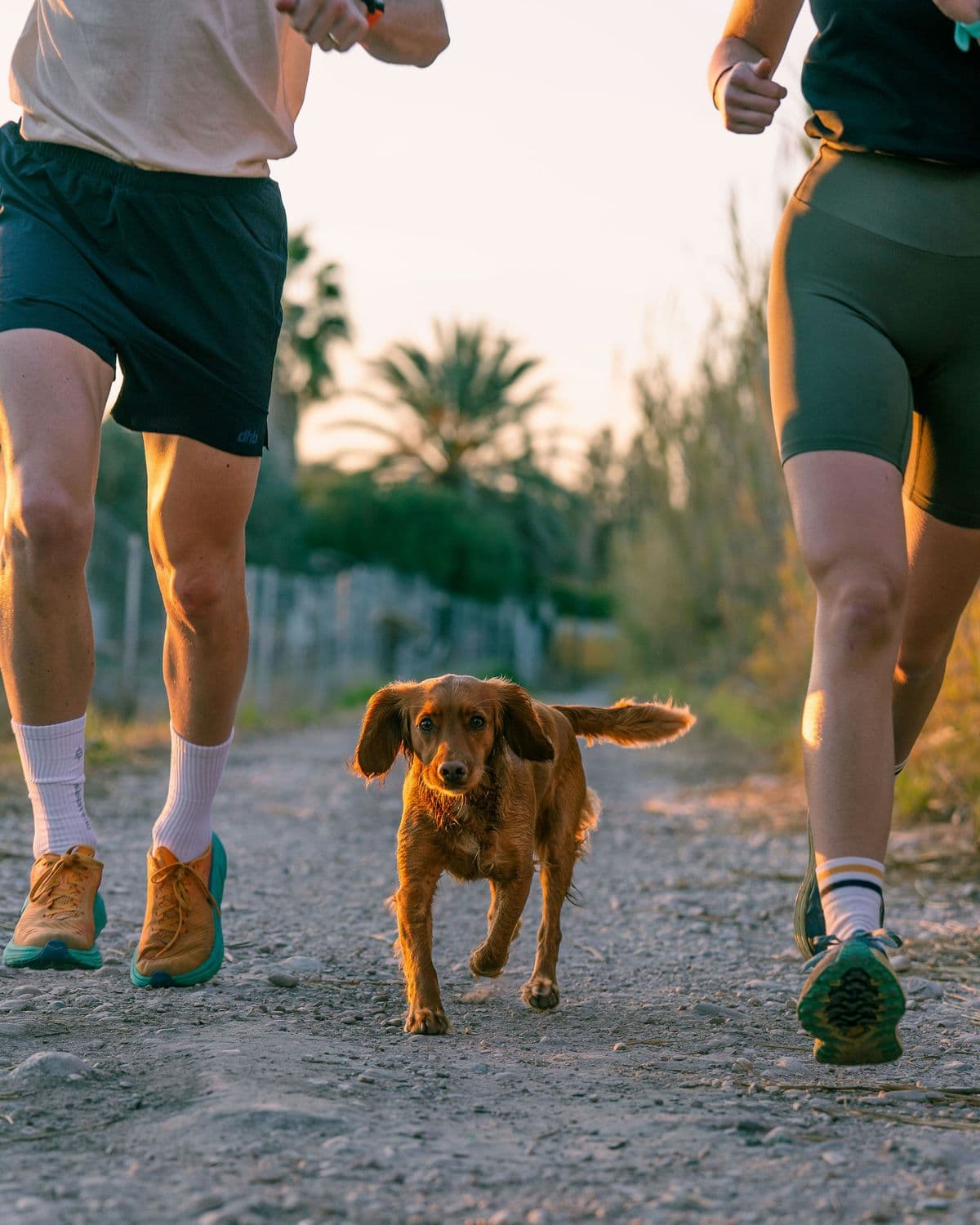Couple running outdoors with a dog at sunset — exercising but not losing weight