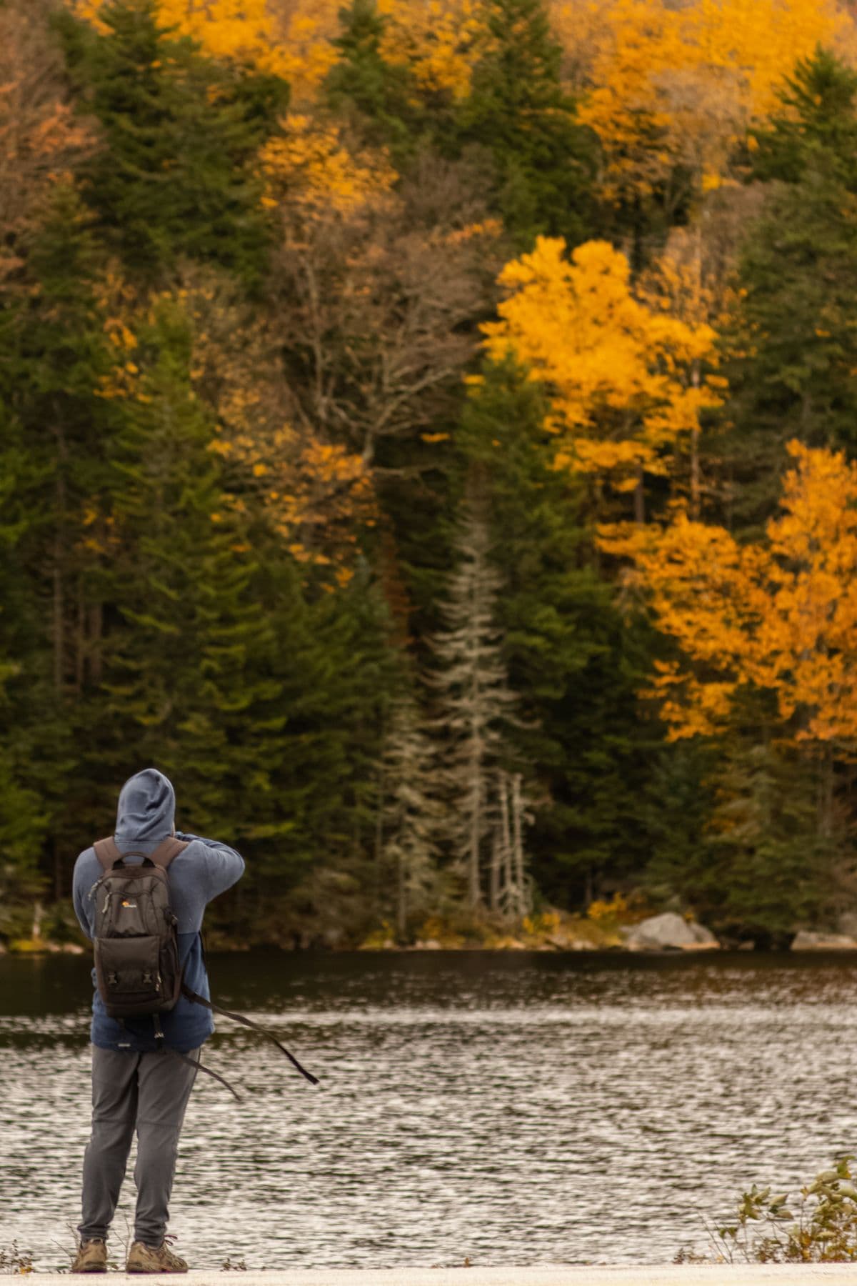 Person standing alone by a lake in autumn — taking time outdoors for burnout recovery